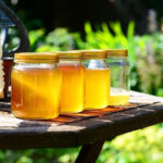 Exploring How Bees Create Honey: Fascinating Natural Process
